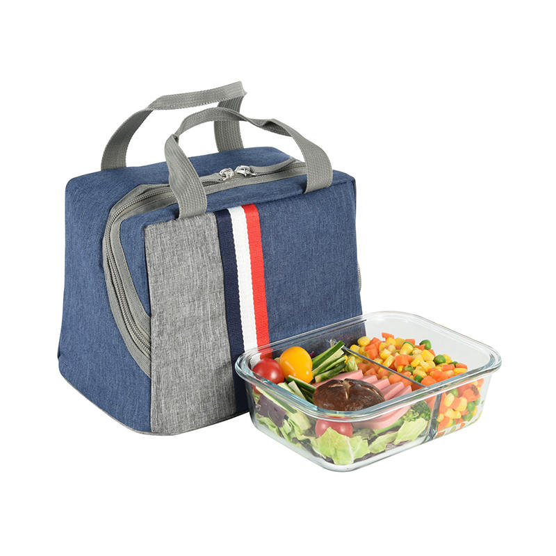 JS-C-L019-Bolsa más fresca de PVC/bolsa de picnic