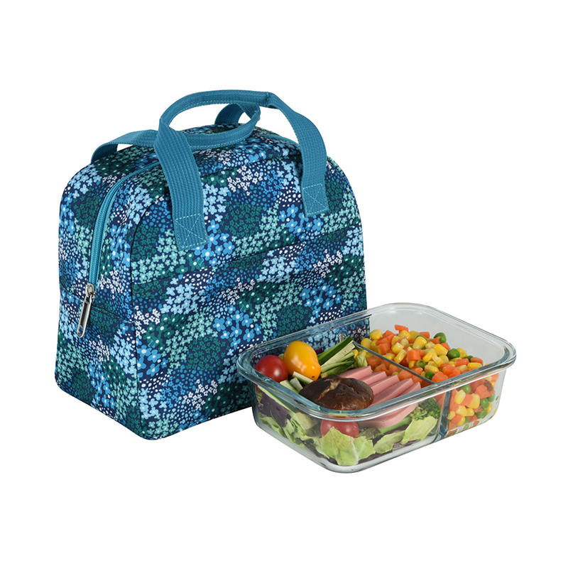 JS-CL-011-Bolsa más fresca de poliéster/bolsa de picnic