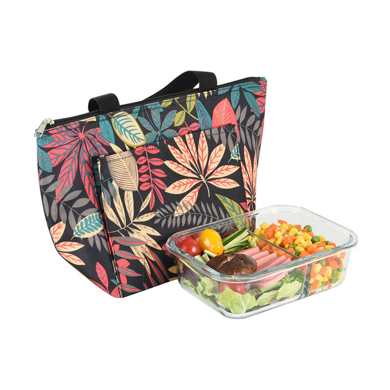 JS-CL-009-Bolsa más fresca de poliéster/bolsa de picnic