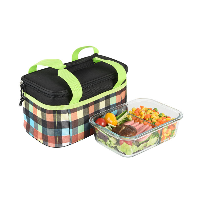 JS-CL-008-Bolsa más fresca de poliéster/bolsa de picnic