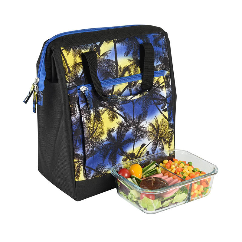 JS-CL-007L-Bolsa más fresca de poliéster/bolsa de picnic