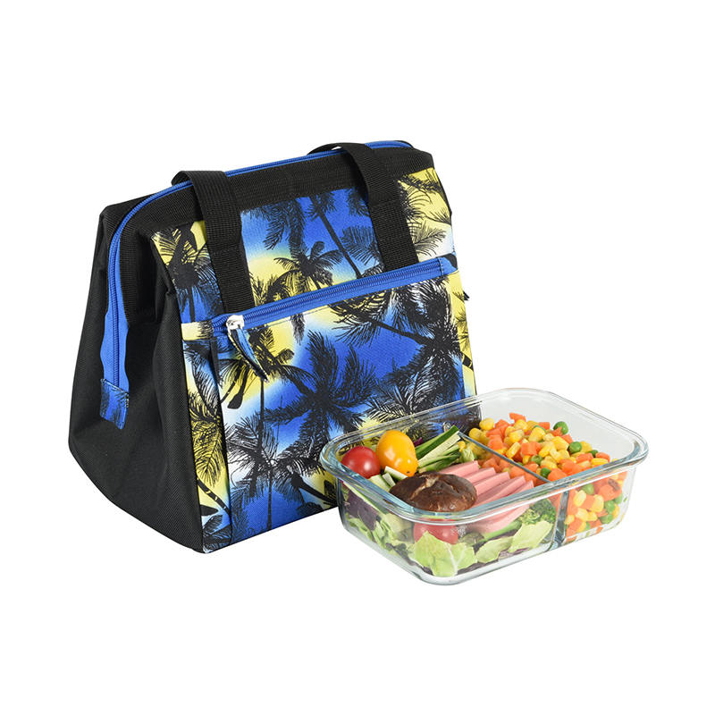 JS-CL-007-Bolsa más fresca de poliéster/bolsa de picnic